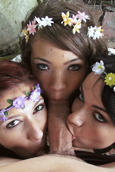 Sex porn. info gif family spring rituals each spring equinox the sisters get to feed on the male members of their family 637eba36d1dd5 about Blowjob Porn Gifs. Enjoy watching new porn gifs every day