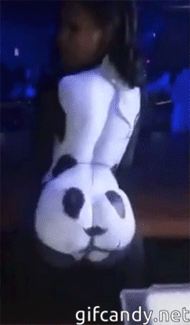 Sex porn. info gif funny panda 6372b07fabc04 about Funny porn gifs. Enjoy watching new porn gifs every day